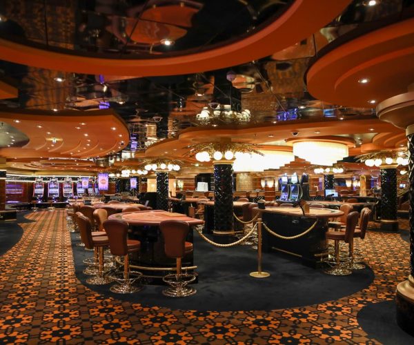 pexels-elizabeth-ferreira-1040803688-24643924