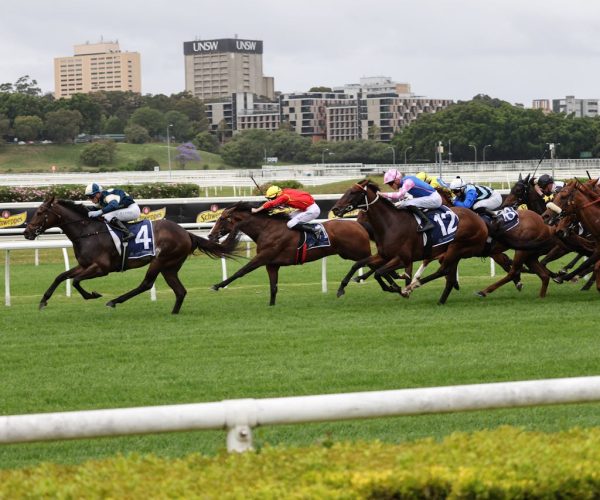 pexels-martin-skerik-855863199-29273720